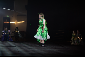 Romeo, Juliet, Hamlet and Macbeth 2026 Show Photos