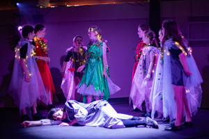 Romeo, Juliet, Hamlet and Macbeth 2026 Show Photos