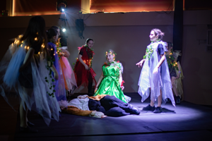 Romeo, Juliet, Hamlet and Macbeth 2026 Show Photos