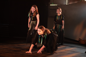 Romeo, Juliet, Hamlet and Macbeth 2026 Show Photos