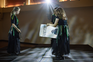 Romeo, Juliet, Hamlet and Macbeth 2026 Show Photos