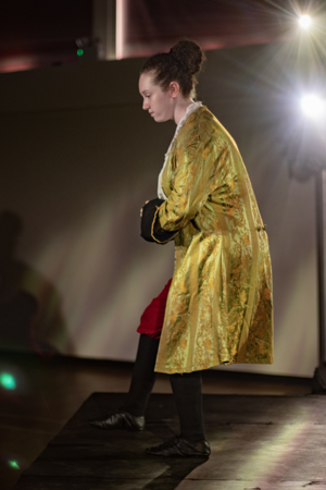 Romeo, Juliet, Hamlet and Macbeth 2026 Show Photos
